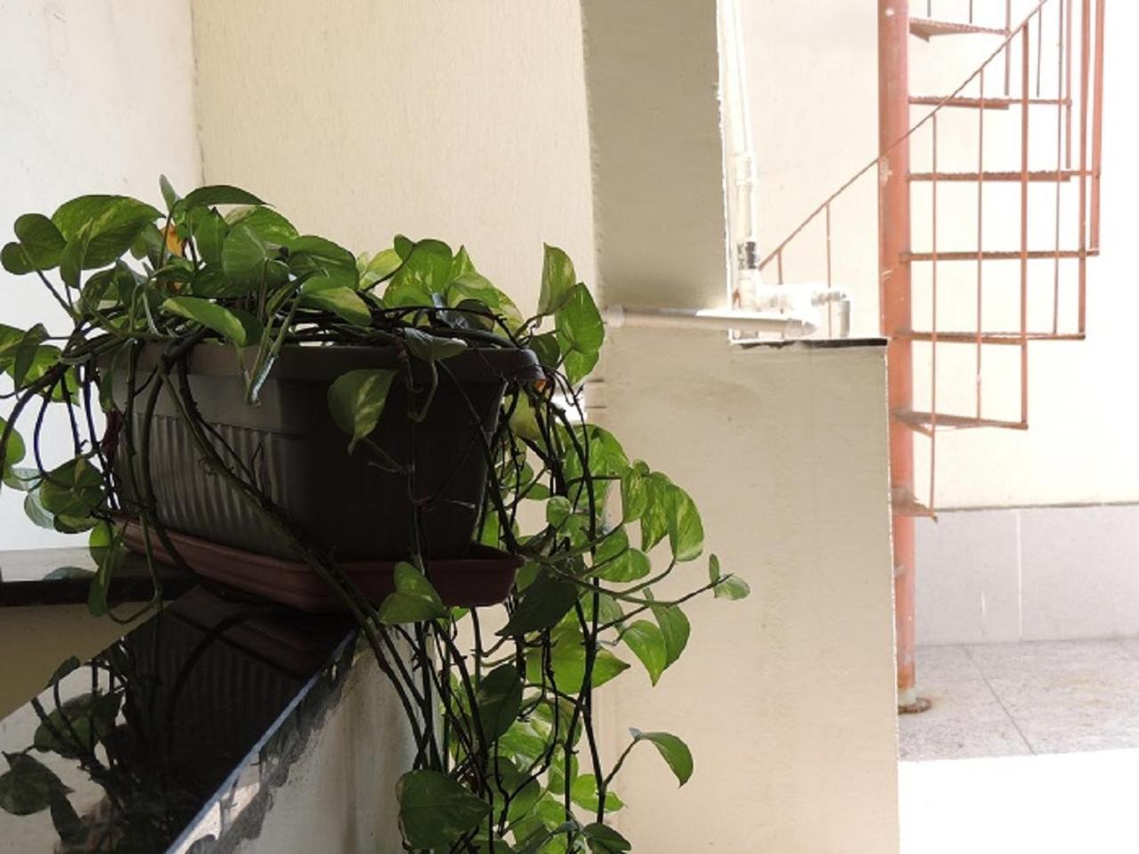 Quartos Em Casa In Caxias Da Paraiso 卡希亚斯公爵城 外观 照片